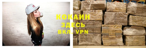 стаф Магас