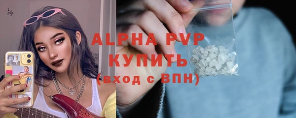 стаф Магас