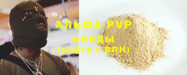 стаф Магас