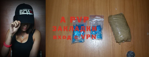 стаф Магас