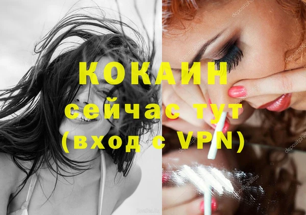 стаф Магас