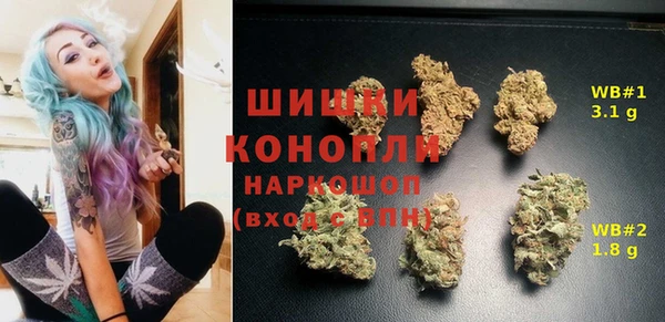 молекула духа Майский