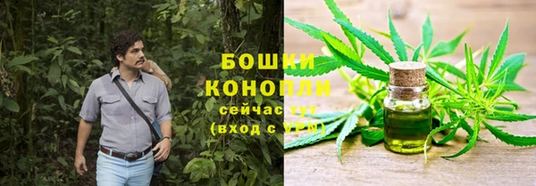 молекула духа Майский