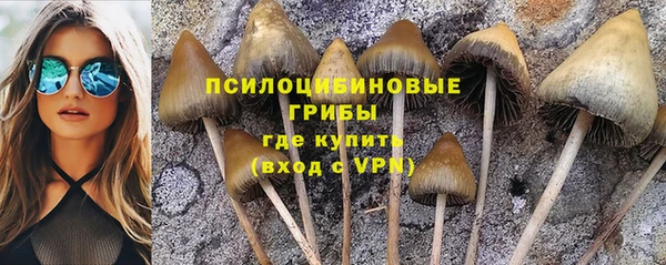 молекула духа Майский