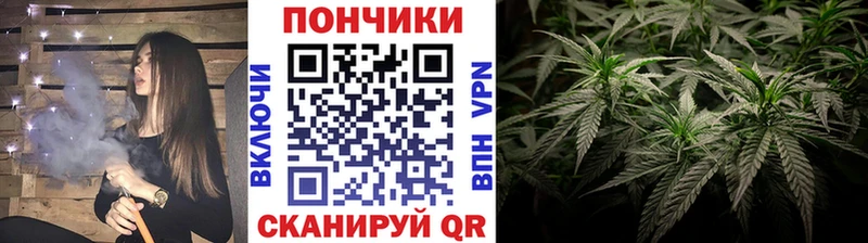 МАРИХУАНА ГИДРОПОН Нюрба